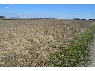 Property photo 37 - LAND AUCTION - 215+/- ACRES OFFERED IN 6 TRACTS IN VAN WERT COUNTY, OHIO